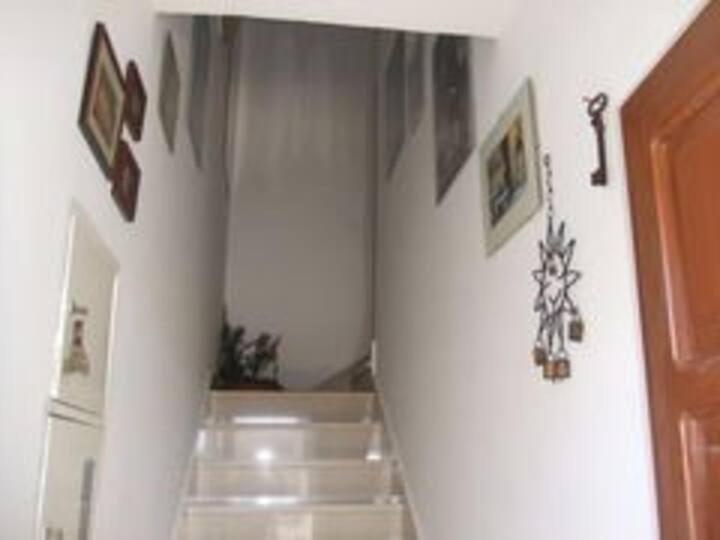 Apartment Biljana Bol Kültér fotó