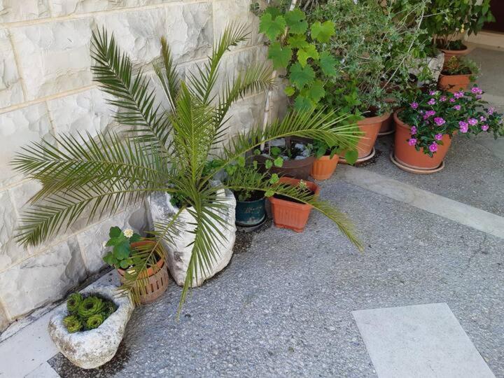 Apartment Biljana Bol Kültér fotó